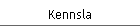 Kennsla